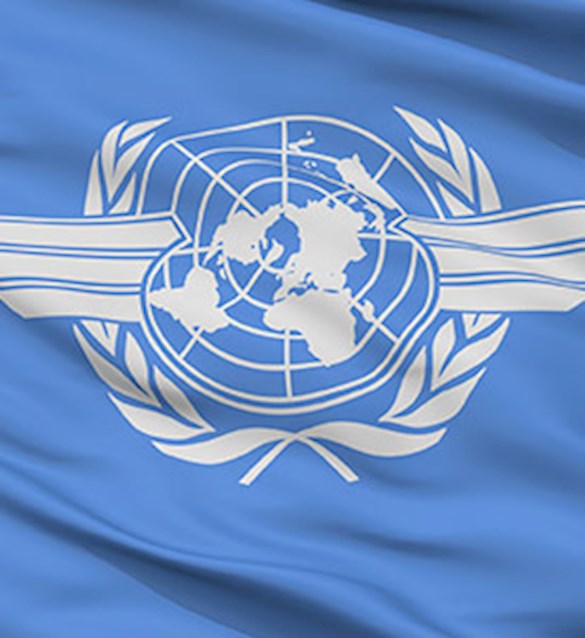 ICAO Kodu
