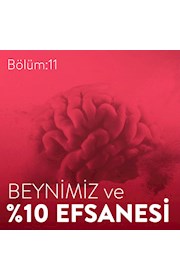 Bölüm 11: Beynimiz ve %10 Efsanesi