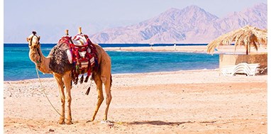 Hurghada Gezi Rehberi